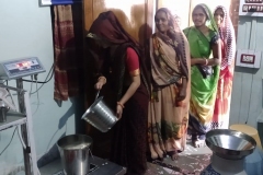 ujalaamilk-gallery-6